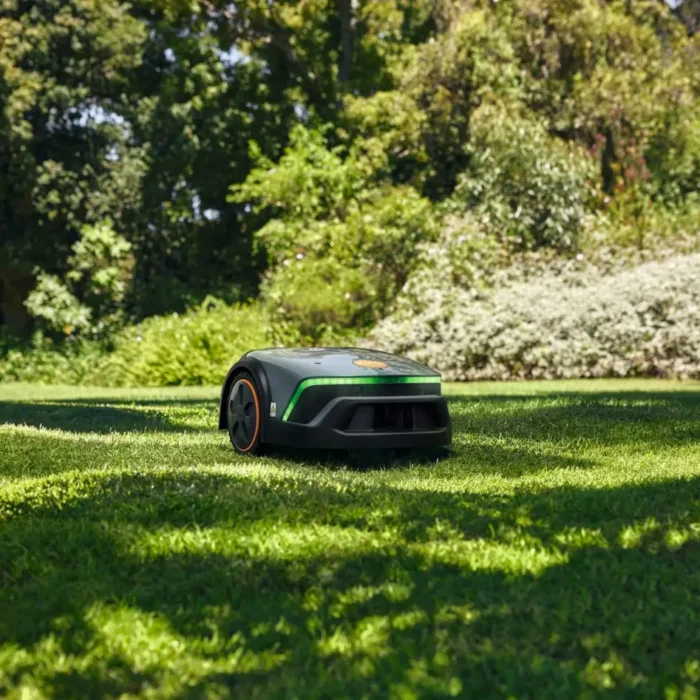 img-10.webp img-10.webp