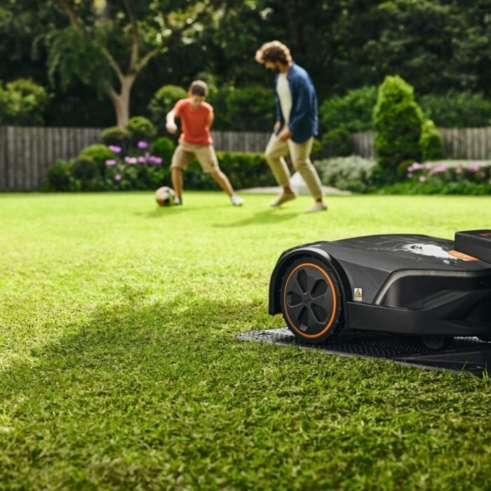 img-3-6.jpg img-3-6.jpg